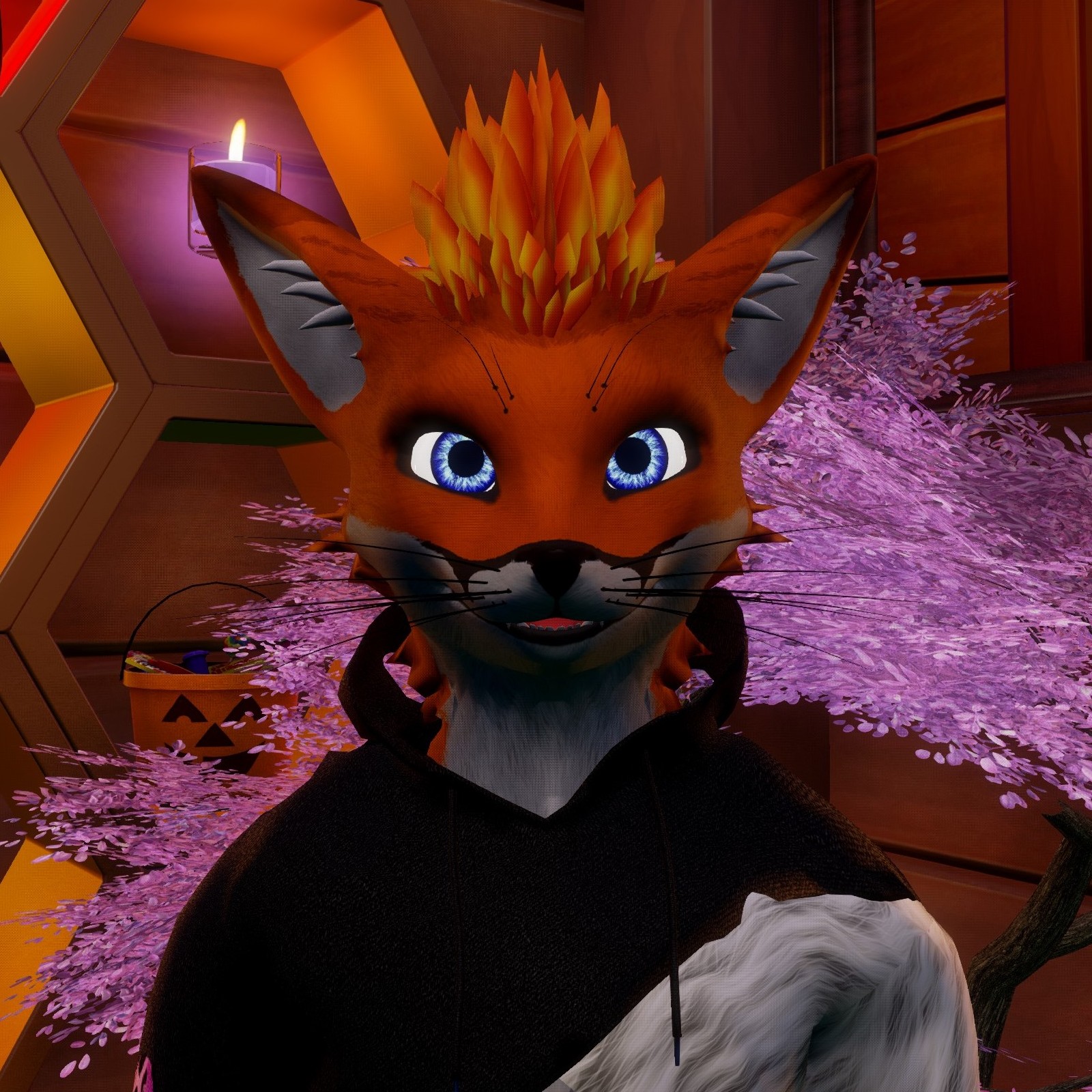 Profilbild von Ratchet